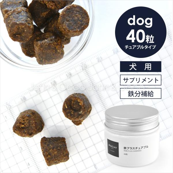 POCHI（ポチ） 鉄プラスチュアブル 40粒  貧血 癌 疲労 シニア 免疫