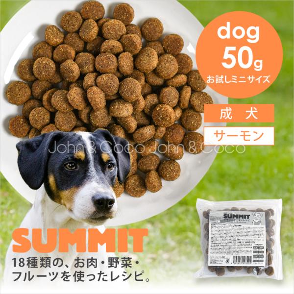 サミット DOG チキン+サーモンレシピ コースタルグリル お試しミニサイズ 50g 犬 ドッグフー...