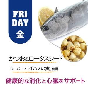 シグネチャー7 CAT パティ 【金】 かつお...の詳細画像4