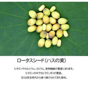 シグネチャー7 CAT パティ 【金】 かつお...の詳細画像5