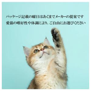 シグネチャー7 CAT パウチ 【金】 ピュア...の詳細画像5