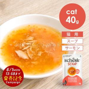 【発売記念SALE！6/1(月)14時迄】シシア CAT スープ サーモン＆キャロット 40g 猫 キャットフード ウェットフード 栄養補完食