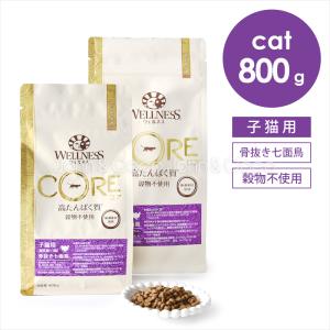 WELLNESS（ウェルネス） コア 穀物不使用 成猫用 骨抜き七面鳥 800g