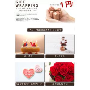 1円ギフトラッピング プレゼント包装 ギフト包...の詳細画像1