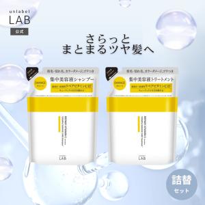 詰め替え シャンプー トリートメント セット ア...の商品画像