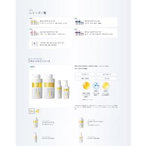 [リニューアル品] 選べる【単品】Vリペア/C...の詳細画像1