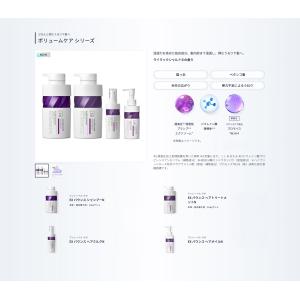 [リニューアル品] 選べる【単品】Vリペア/C...の詳細画像4