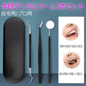 br16#3本セットケース付き 歯石取り器具 自宅用 デンタルツール