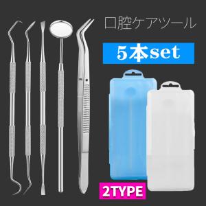 2type 5本セット 男女兼用 プレゼント 歯用ツール5点セット 歯石取り 歯石の歯の清掃ツール歯石プラーク茶汚れ煙汚れなど お中元 #BR32