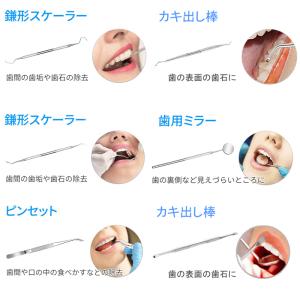 6本セット 歯石取り器具 自宅用 デンタルツー...の詳細画像5