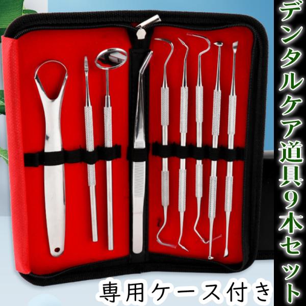 9本セット 歯科口腔清掃キット専用ケース付き 歯石 歯の清掃ツール 舌みがき 送料無料  歯石取り ...
