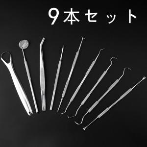 9本セット 歯科口腔清掃キット専用ケース付き ...の詳細画像1