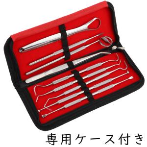 9本セット 歯科口腔清掃キット専用ケース付き ...の詳細画像2