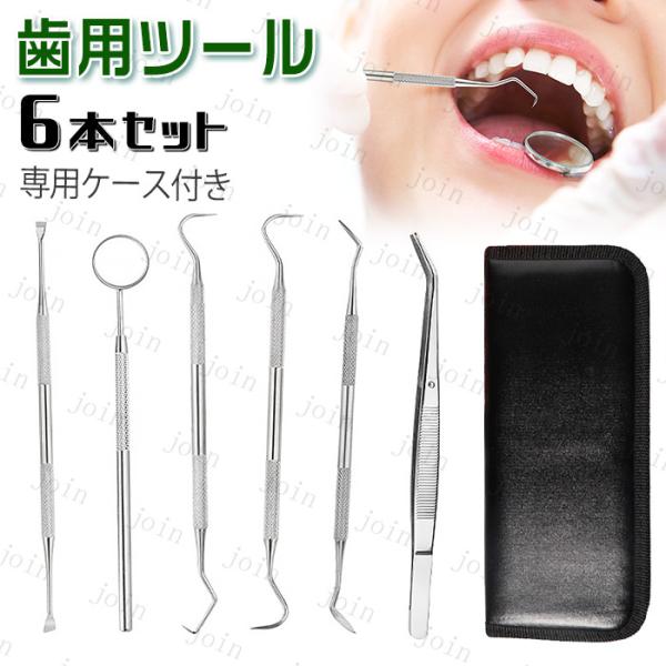 6本セット 歯石取り器具 日本国内当日発送 ステンレス製 自宅用 デンタルツール 歯間 ヤニ 歯垢取...