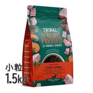 NEW 最短賞味2027.2.25・トライバル フレッシュサーモン