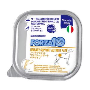 FORZA10（フォルツァディエチ） 犬缶 アクティウェット インテスティ