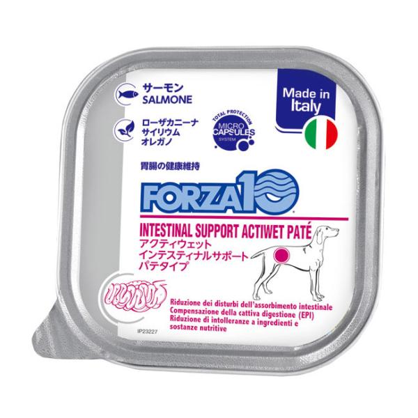 FORZA10 犬缶 アクティウェット インテスティナル サーモン（胃腸） 100g ドッグウェット...