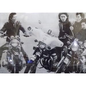 CYC01  CAROL ヤッコカウル