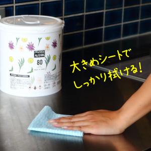 エタノール80%厚手ウェットティッシュ 日本製...の詳細画像3