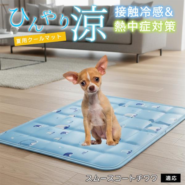 スムースコートチワワ犬 スムチワ ペット クールマット ひんやりマット 犬 猫 夏用 冷感 ジェル ...