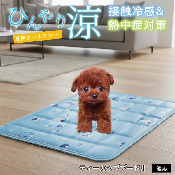 ティーカッププードル犬 ティーカッププー ペット クールマット ひんやりマット 犬 猫 夏用 冷感 ...