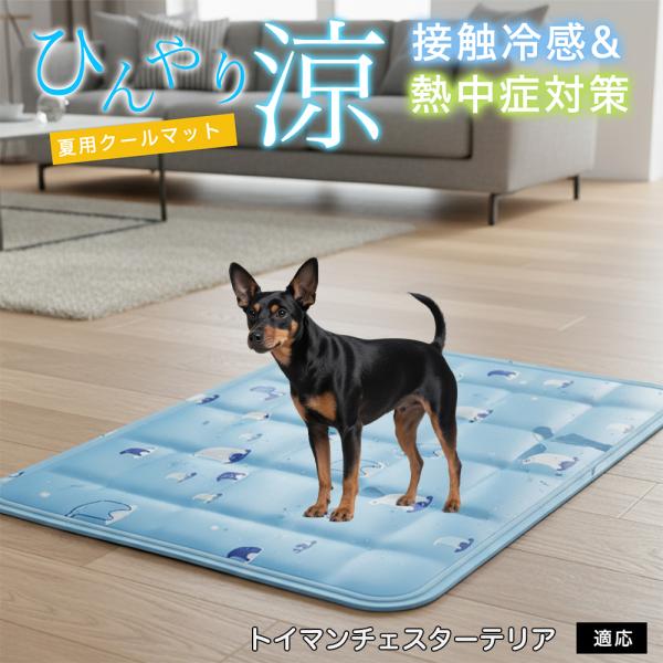 トイマンチェスターテリア犬 トイマンチェ ペット クールマット ひんやりマット 犬 猫 夏用 冷感 ...