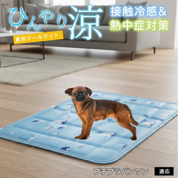 プチブラバンソン犬 プチブラ ペット クールマット ひんやりマット 犬 猫 夏用 冷感 ジェル 暑さ...