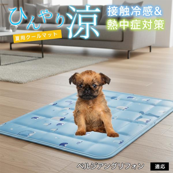 ベルジアングリフォン犬 ベルギーグリ ペット クールマット ひんやりマット 犬 猫 夏用 冷感 ジェ...