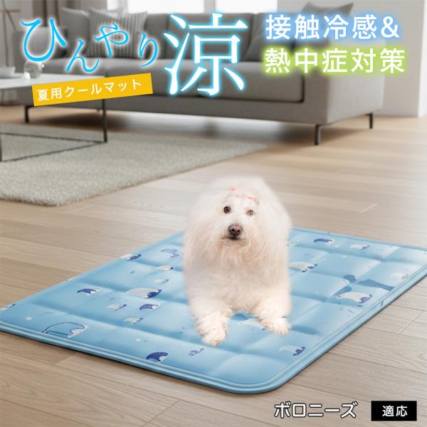 ボロニーズ犬種 ボロニーズ ペット クールマット ひんやりマット 犬 猫 夏用 冷感 ジェル 暑さ対...