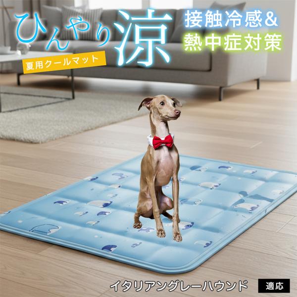 イタリアングレーハウンド犬 イタグレ ペット クールマット ひんやりマット 犬 猫 夏用 冷感 ジェ...