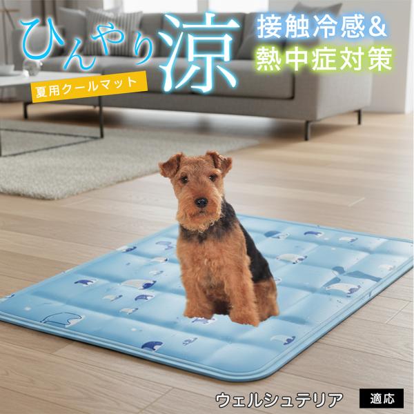 ウェルシュテリア犬 ウェルシュ ペット クールマット ひんやりマット 犬 猫 夏用 冷感 ジェル 暑...