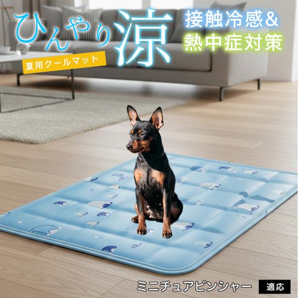 ミニチュアピンシャー犬 ミニピン ペット クールマット ひんやりマット 犬 猫 夏用 冷感 ジェル ...