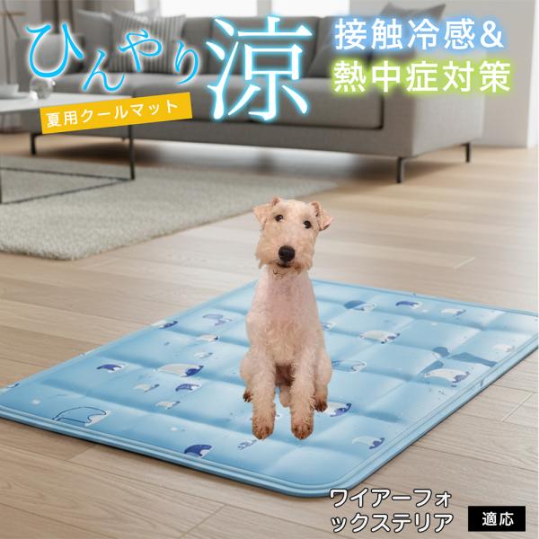 ワイヤーフォックステリア犬 ワイヤー ペット クールマット ひんやりマット 犬 猫 夏用 冷感 ジェ...