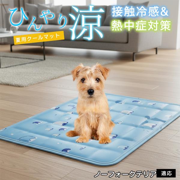 ノーフォークテリア犬 ノーフォーク ペット クールマット ひんやりマット 犬 猫 夏用 冷感 ジェル...