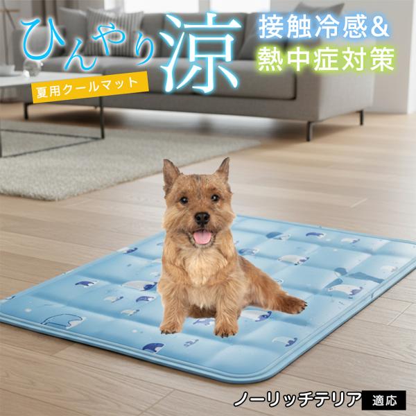 ノーリッチテリア犬 ノーリッチ ペット クールマット ひんやりマット 犬 猫 夏用 冷感 ジェル 暑...