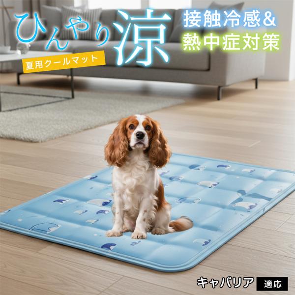 キャバリアキングチャールズスパニエル犬 ペット クールマット ひんやりマット 犬 猫 夏用 冷感 ジ...