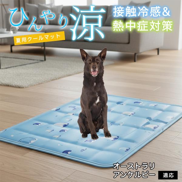 オーストラリアンケルピー犬 ケルピー ペット クールマット ひんやりマット 犬 猫 夏用 冷感 ジェ...
