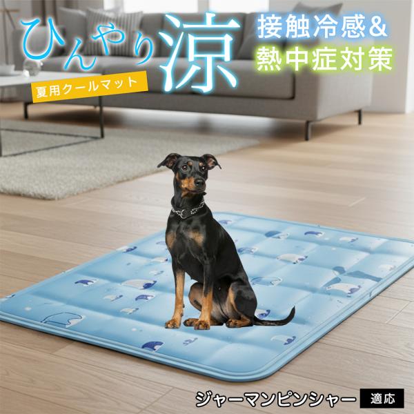 ジャーマンピンシャー犬 ジャーマンピン ペット クールマット ひんやりマット 犬 猫 夏用 冷感 ジ...