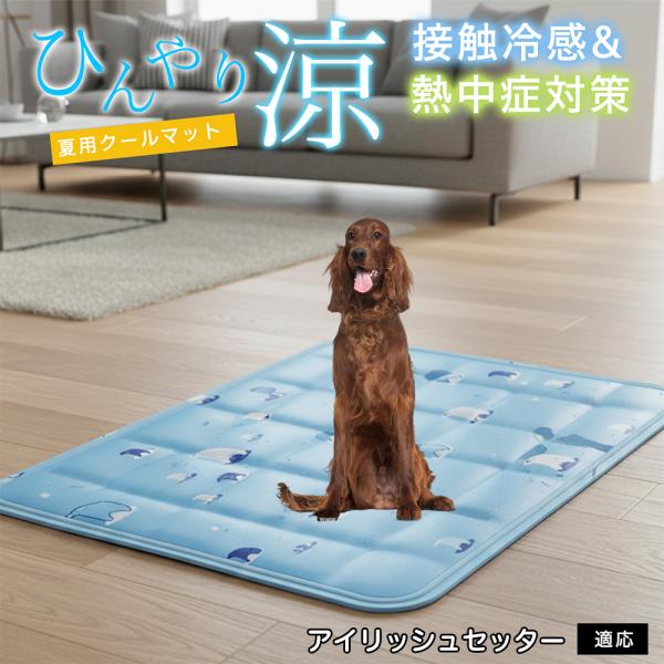 アイリッシュセッター犬 アイリッシュ ペット クールマット ひんやりマット 犬 猫 夏用 冷感 ジェ...