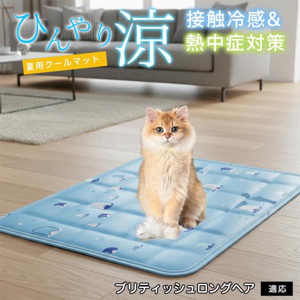ブリティッシュロングヘア猫 ブリロン ペット クールマット ひんやりマット 犬 猫 夏用 冷感 ジェ...