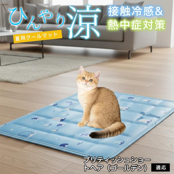 ブリティッシュショートヘアゴールデン猫 ペット クールマット ひんやりマット 犬 猫 夏用 冷感 ジ...