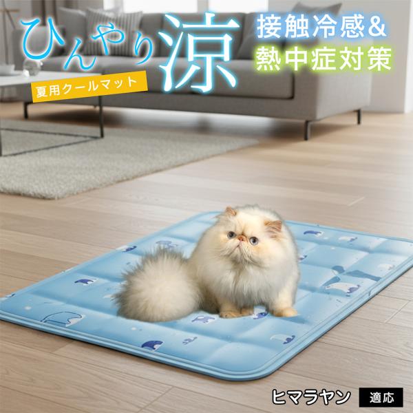 ヒマラヤン猫種 ヒマラヤン ペット クールマット ひんやりマット 犬 猫 夏用 冷感 ジェル 暑さ対...