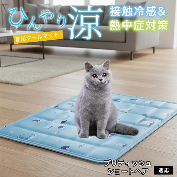 ブリティッシュショートヘア猫 ブリショ ペット クールマット ひんやりマット 犬 猫 夏用 冷感 ジ...