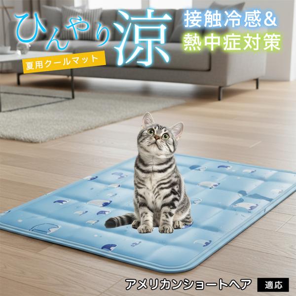 アメリカンショートヘア猫 アメショ ペット クールマット ひんやりマット 犬 猫 夏用 冷感 ジェル...