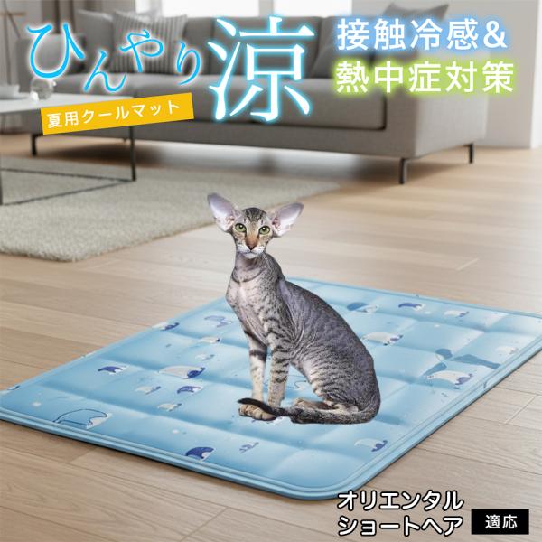 オリエンタルショートヘア猫 オリショ ペット クールマット ひんやりマット 犬 猫 夏用 冷感 ジェ...
