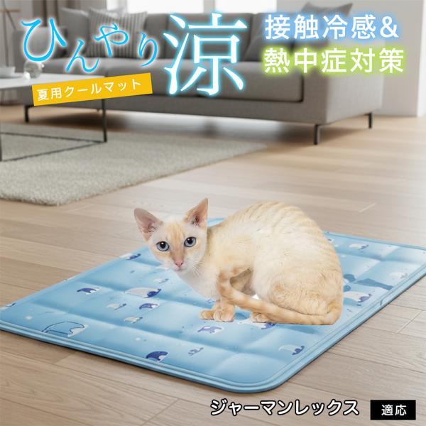 ジャーマンレックス猫 ジャーマン ペット クールマット ひんやりマット 犬 猫 夏用 冷感 ジェル ...