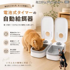 ミニチュアピンシャー犬 ミニピン 自動給餌器 タイマー式 犬 猫 1食 2食 自動餌やり機 電池式 留守番 ペット 小動物