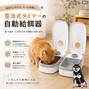 柴犬種 柴 自動給餌器 タイマー式 犬 猫 1食 2食 自動餌やり機 電池式 留守番 ペット 小動物