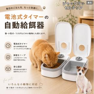 ジャックラッセルテリア犬 ジャックラッセル 自動給餌器 タイマー式 犬 猫 1食 2食 自動餌やり機 電池式 留守番 ペット 小動物