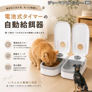 ジャーマンピンシャー犬 ジャーマンピン 自動給餌器 タイマー式 犬 猫 1食 2食 自動餌やり機 電池式 留守番 ペット 小動物